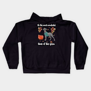 Great Dane Dog Autumn Fall Most Wonderful Time Maple Gift Kids Hoodie